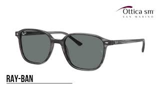 Ray Ban Leonard RB 2193 1314B1 [upl. by Yeslrahc]