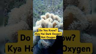 Kya Hai Dark Oxygen  science oxygen facts shorts ytshorts [upl. by Cyprio]