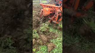 Agriculture farm 532 shorts video [upl. by Mira724]