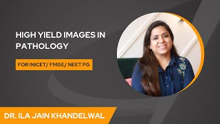 High Yield Images In Pathology  Part 2  Haematology  Dr Ila Jain Khandelwal  FMGE  NEET PG [upl. by Leibrag]