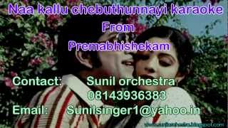 Naa Kallu Chebuthunnayi karaokePremabhishekam karaokeTelugu karaoke [upl. by Cristi]