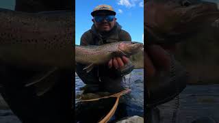 Una buena trucha Arcoíris fishing pescaconmosca trucha fishingvideo fishingvideo pesca fly [upl. by Keener]