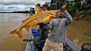 Increíble Pez que capturamos en la selva  Pesca y cocina en la selva [upl. by Elleuqram]