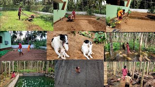 காடு நம்பி கடலா போகுதுங்க🥹Easy way grow vegetablesbeans cultivation at garden🌿keerai cultivation [upl. by Hpsoj]