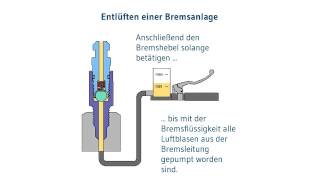 Bremse entlüften  Motorradbremse entlüften mit dem stahlbus Entlüftungsventil [upl. by Lorac]