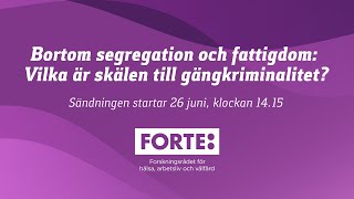 Almedalen 2024 Bortom segregation och fattigdom – vilka är skälen till gängkriminalitet [upl. by Mansur167]