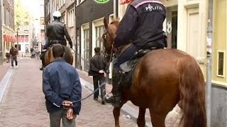 Heterdaadje  Schandpaal voor dieven met paarden afgevoerd [upl. by Alasteir]