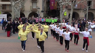 Concurs de colles sardanistes Balaguer Cobla Maravella [upl. by Nojram]