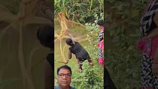 AMAZING VILLAGE FISHING fishng fishig funny reels reel shortsvideo shorts shots viral [upl. by Dori]