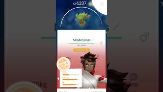 Huge Haul For the Day in Pokemon Go shorts pokemongo halloween [upl. by Nnairda]