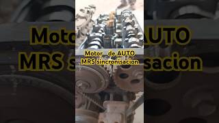 Motor Auto MRS silvertex harryhzv montacargas parati [upl. by Yekcim]