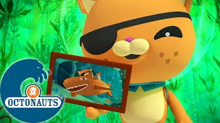 Octonauts  🌿 La forêt de varech géant 🌱  Dessins animés pour enfants [upl. by Nrubliw]