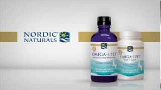 Nordic Naturals Omega3 Pet [upl. by Eniak]