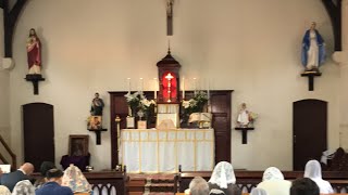 Live Traditional Latin Mass Saturday 25 March 2023 St Anne’s  The Annunciation of the BVM [upl. by Edrock]