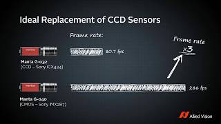 Manta G040 CMOS camera vs equivalent CCD cameras [upl. by Acissehc]