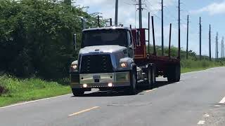 Longo ENTECH Freightliner 114SD 😍💪🏻🥵💯🚛🇵🇷 [upl. by Uri380]