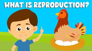 ReproductionTypes of reproductionReproduction in plants and animalsVideo for Kids [upl. by Hamrah154]