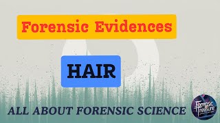 Forensic Evidences  Hair  Forensic Science  TANVI [upl. by Cosette]