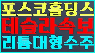 🥇포스코홀딩스 주가 전망 테슬라 속보 리튬 대형 수주💝 posco홀딩스 주가 전망 [upl. by Urata]