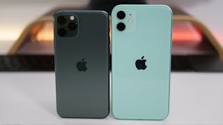 iPhone 11 Pro vs iPhone 11  Which Should You choose [upl. by Idden]