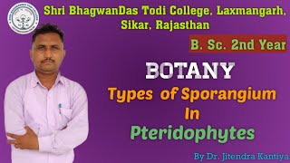 B Sc 2nd Year  Botany  Types of Sporangium  Dr Jitendra Kantiya  Shri BhagwanDas Todi College [upl. by Etteiram]