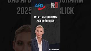 Bundestagswahl 2025 Das AfD Wahlprogramm afd Bundestagswahl2025 aktuell deutschland [upl. by Jay]