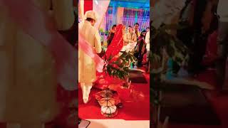 ♥️ love lovemusicbollywood musiclove wedding [upl. by Robbert]