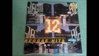 Jet Star Reggae Hits Vol 12 Various Artists [upl. by Kancler]