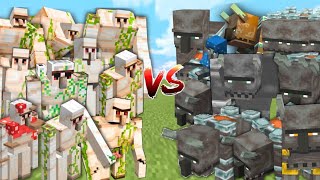 20 Ravagers Vs 10 Iron Golame In Minecraft [upl. by Barty]