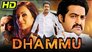 Dhammu Dammu South Superhit Action Movie  Jr NTR Trisha Krishnan Karthika Nair Brahmanandam [upl. by Ecirted]