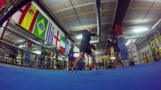 Kid Galahad  SampC training in Feurteventura [upl. by Lairbag]