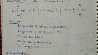 Transamination amp Deamination [upl. by Soluk]