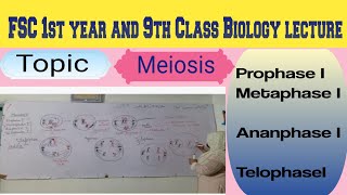 Topic Meiosis Prophase Metaphase 1 Anaphase 1 Telophase 1 delivered by Maam Samina Khuram 👍 [upl. by Meingoldas]