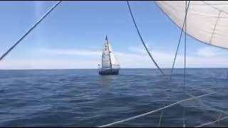 Flicka 20  Cutest little sailboat on the Sea of Cortez [upl. by Nyladnor941]