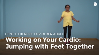 Aerobic Exercise Skip Jumps  Exercise for Older Adults [upl. by Eugor169]