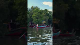 Landscape of flooded forest in Kampong Phluk area Siem Reap Video Elysium Suite [upl. by Indnahc]