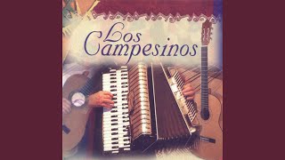 Campesinos Mix [upl. by Eikcin329]