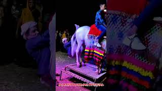 Rajsthani ghodi ki puch pakda kar kiya dokrene dance  rajsthani ghodi dance  dj vs ghodi dance [upl. by Leahcym465]