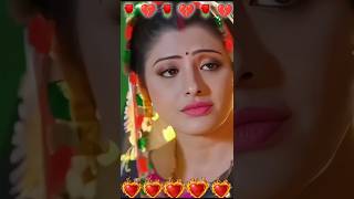 ✿⁠☉⁠｡⁠☉chintu panday sad status song love music bhojpuri newsong trending trendingshorts sad [upl. by Yekram770]