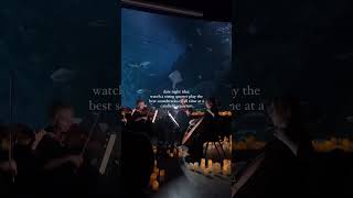 Date Night Idea A Candlelight concert at an aquarium  Fever [upl. by Ana34]