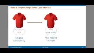 NetSuite SuiteCommerce Advanced  Customizing the Reference Application 3 of 6 [upl. by Ogilvie570]