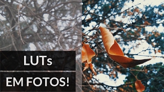 Como Aplicar Filtros LUTs Em Fotos  Utilizando Photoshop [upl. by Cawley930]