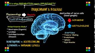 NCLEX Review Parkinsons Medications Treatment [upl. by Namref]