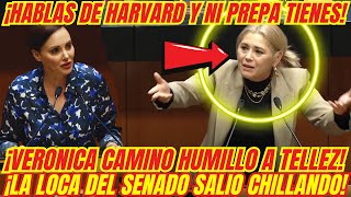 ¡BOFETADON QUE SE LLEVÓ LA LOCA DEL SENADO ¡VERONICA CAMINO LA HIZO TRIZAS [upl. by Suanne]