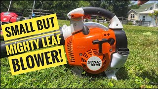 Stihl BG 86 Leaf Blower Review [upl. by Arries]