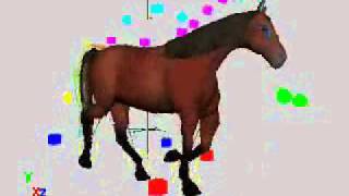 Horse Animation  Walk trot canter gallop  Work In Progress [upl. by Horvitz]