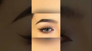 How to apply eyeliner tutorial for beginners eye eyemakeup ytshort [upl. by Oiramaj]