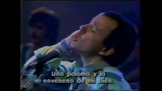 Silvio Rodriguez canta quotSueño Con Serpientesquot no programa quotChico e Caetanoquot em 1986 na TV Globo [upl. by Danaher645]