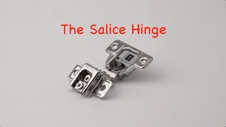 The Salice Hinge specs and features [upl. by Nueovas809]