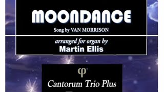 Martin Ellis Moondance Song by Van Morrison [upl. by Merril]